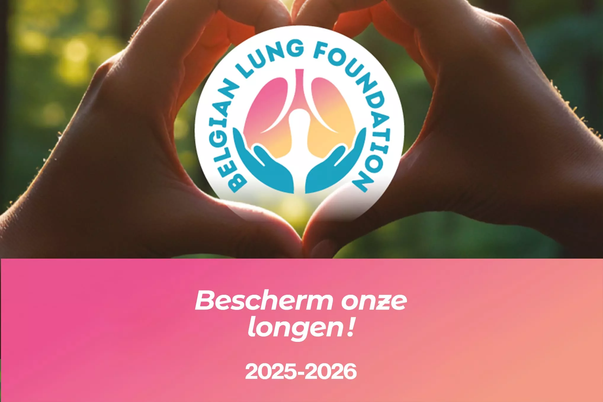 Ontdek onze nieuwe brochure!